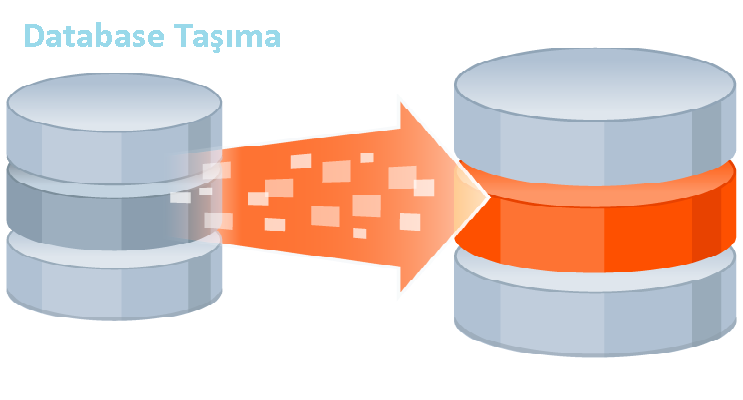 SQL Database farklı diske taşıma işlemi