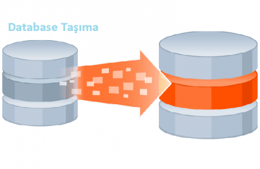 SQL Database farklı diske taşıma işlemi